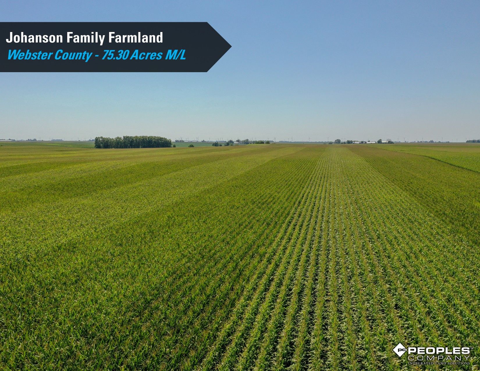 Listing Photo: Webster County Iowa Farmland Available 2